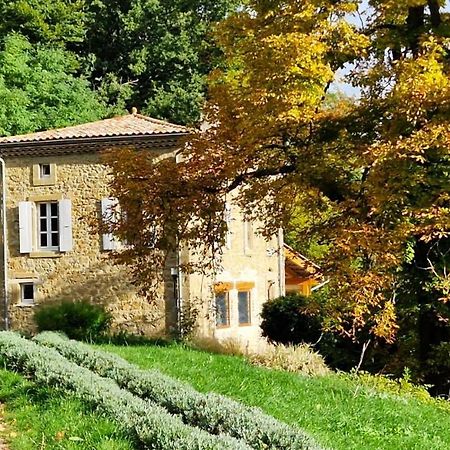 Gite Du Grand Delmas بوردو المظهر الخارجي الصورة